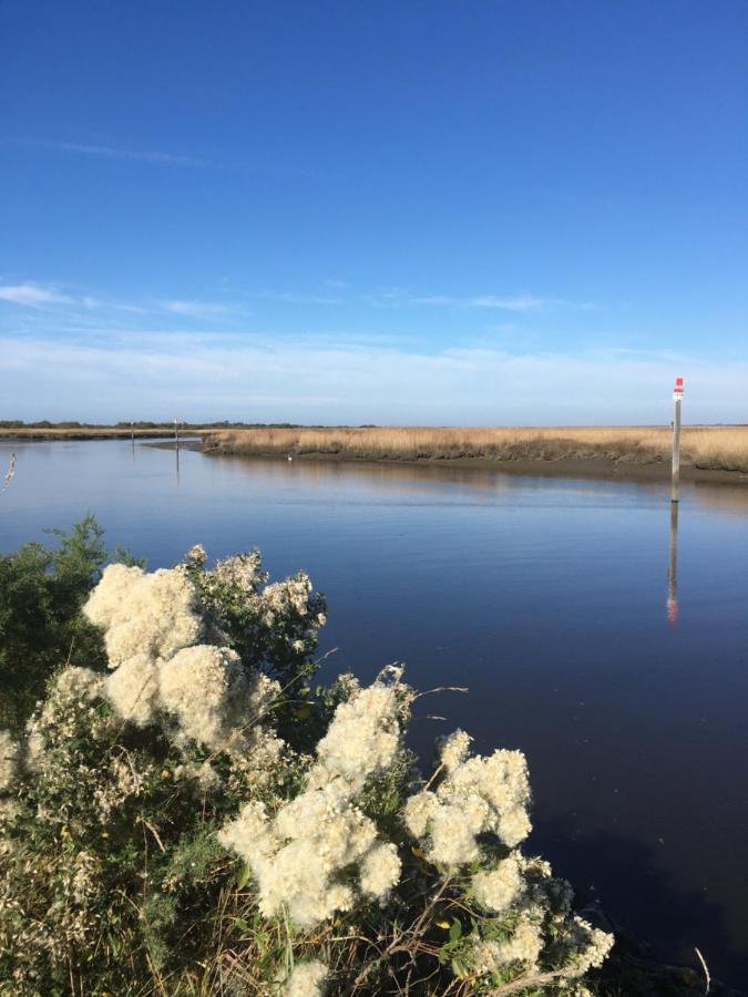 Le Teich Tranquille Exterior foto
