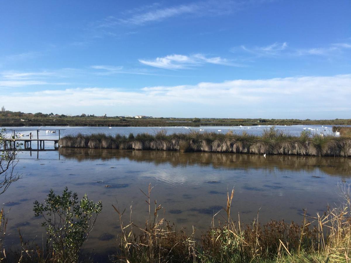 Le Teich Tranquille Exterior foto